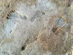 Science Inches Closer to Urantia Book Migration Dates in America